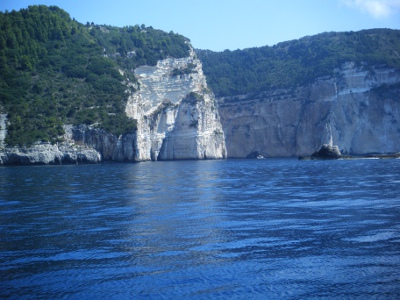 ”Paxos" Paxos