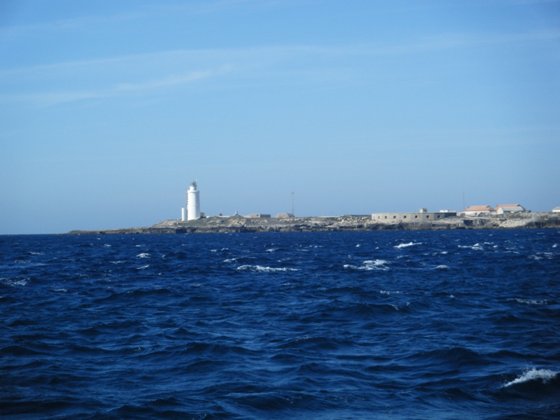 Tarifa Tarifa